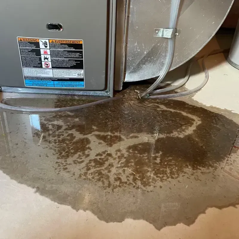 Appliance Leak Cleanup in Monterey, TN